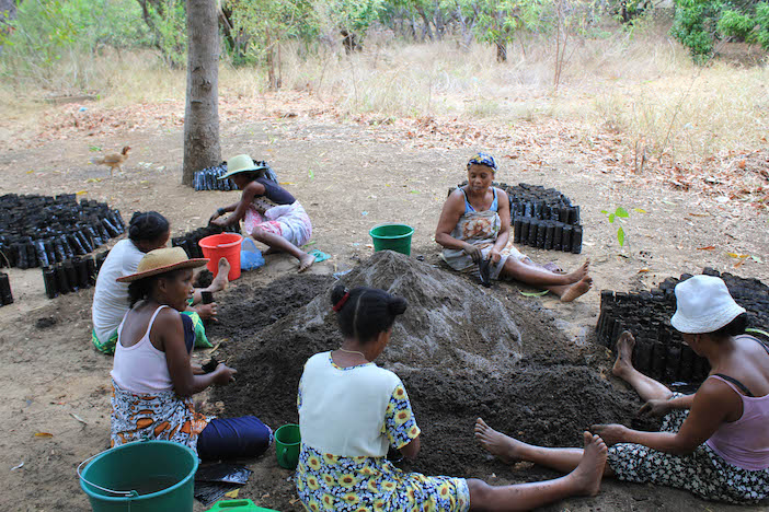 Planting pic in Ethiopia one botte one tree