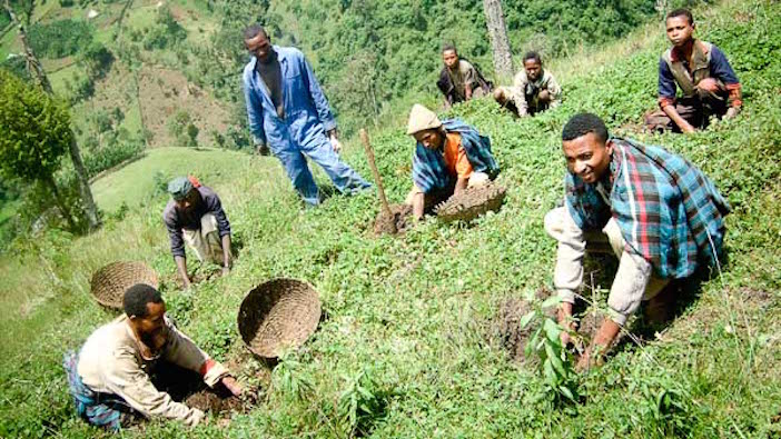 ethiopia