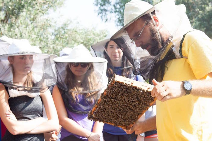Participants learn about beekeeping and Greek honey. Students harvested their own honey, and sampled it in the Greek yogurt they produced themselves!