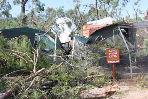 Ionian Village Recovers from Devastating Tornado, Begins Summer Programs