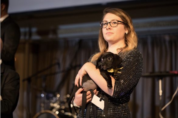 It All Began With a Stray from Crete: PAWS Chicago Fur Ball Raises $1.3 Million for Homeless Animals