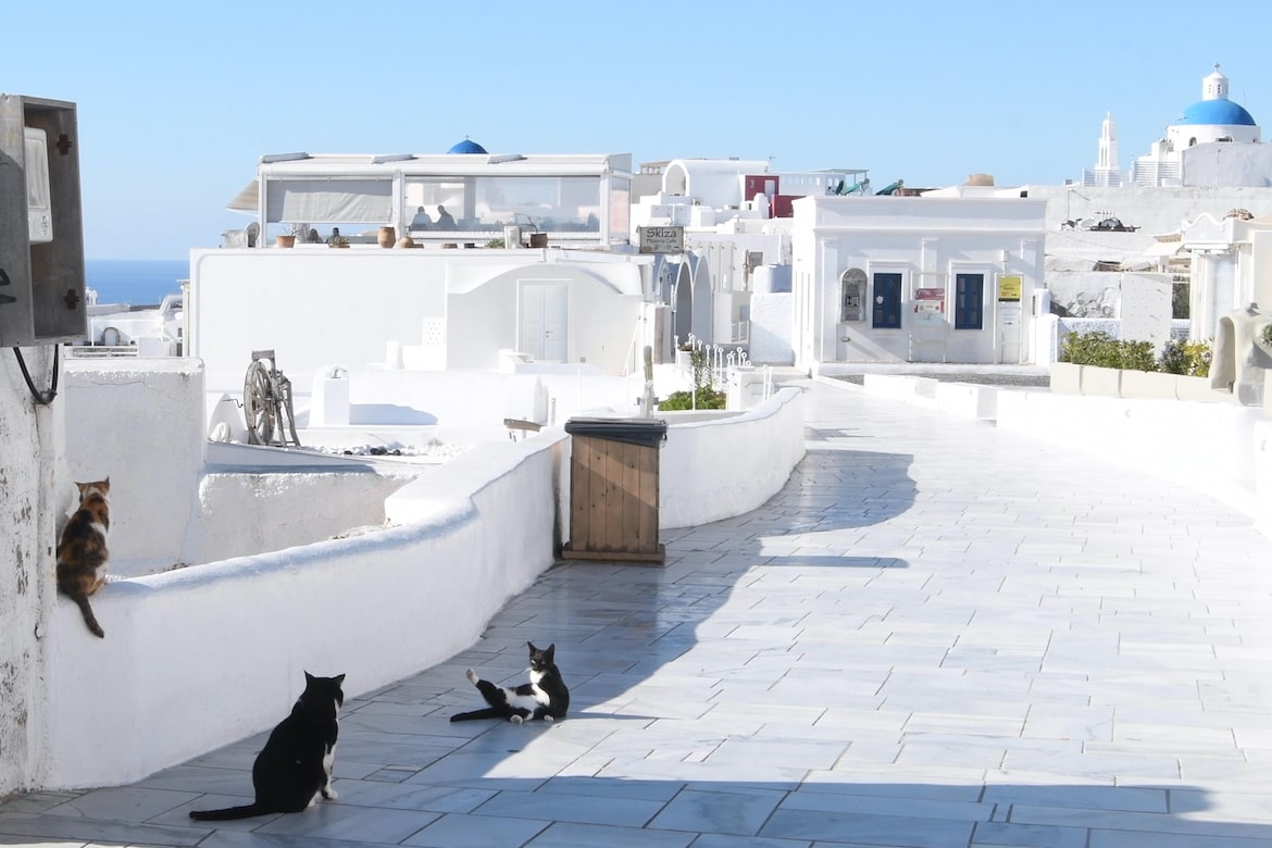 Naked Santorini Experience the Island When Tourists Are Gone picture