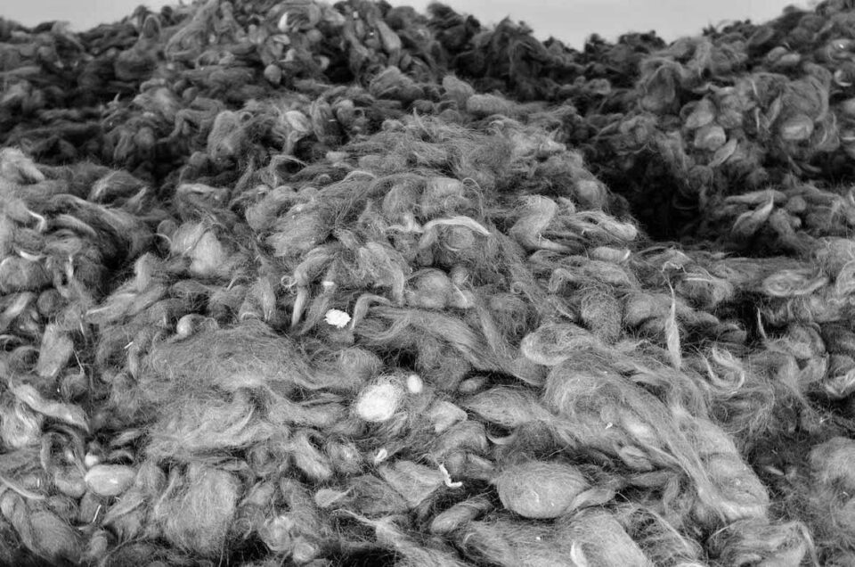 Human hair clearance at auschwitz