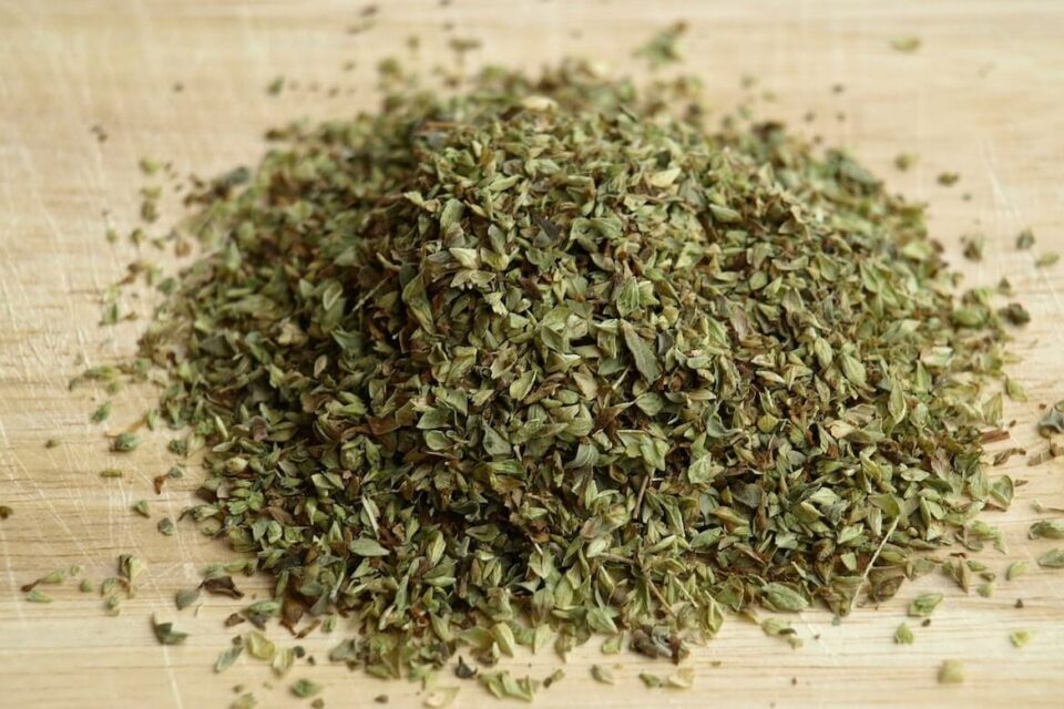 Oregano