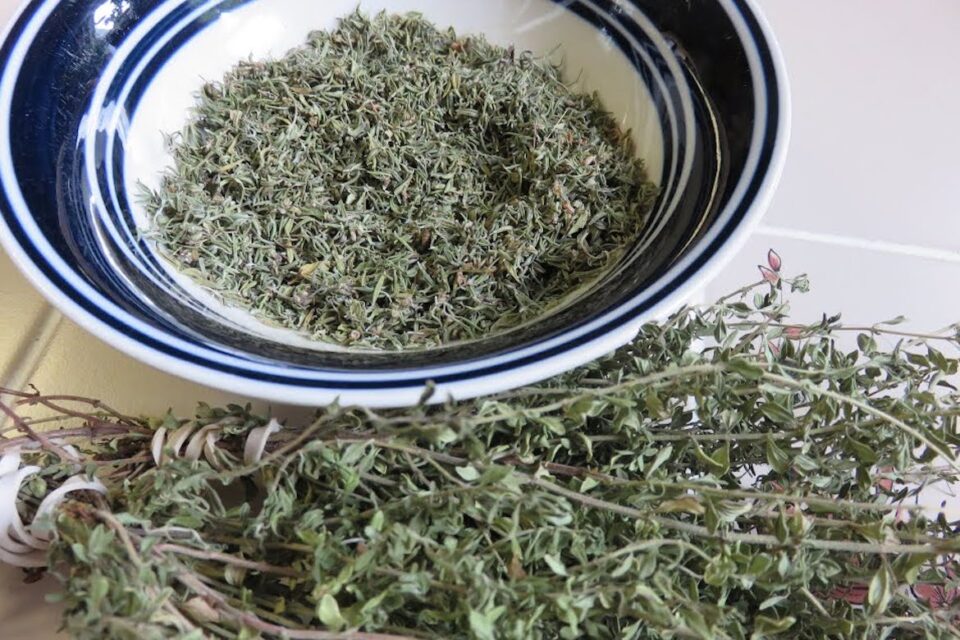 Thyme