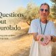 10questions-newsletter