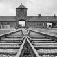 auschwitz-ii-birkenau_01