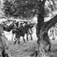 Kreta, Kondomari, Erschieﬂung von Zivilisten